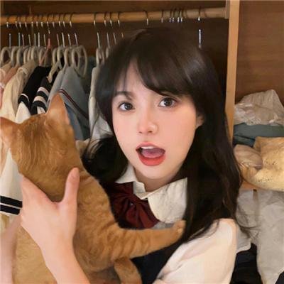 十二生肖